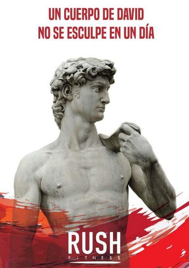 David cv