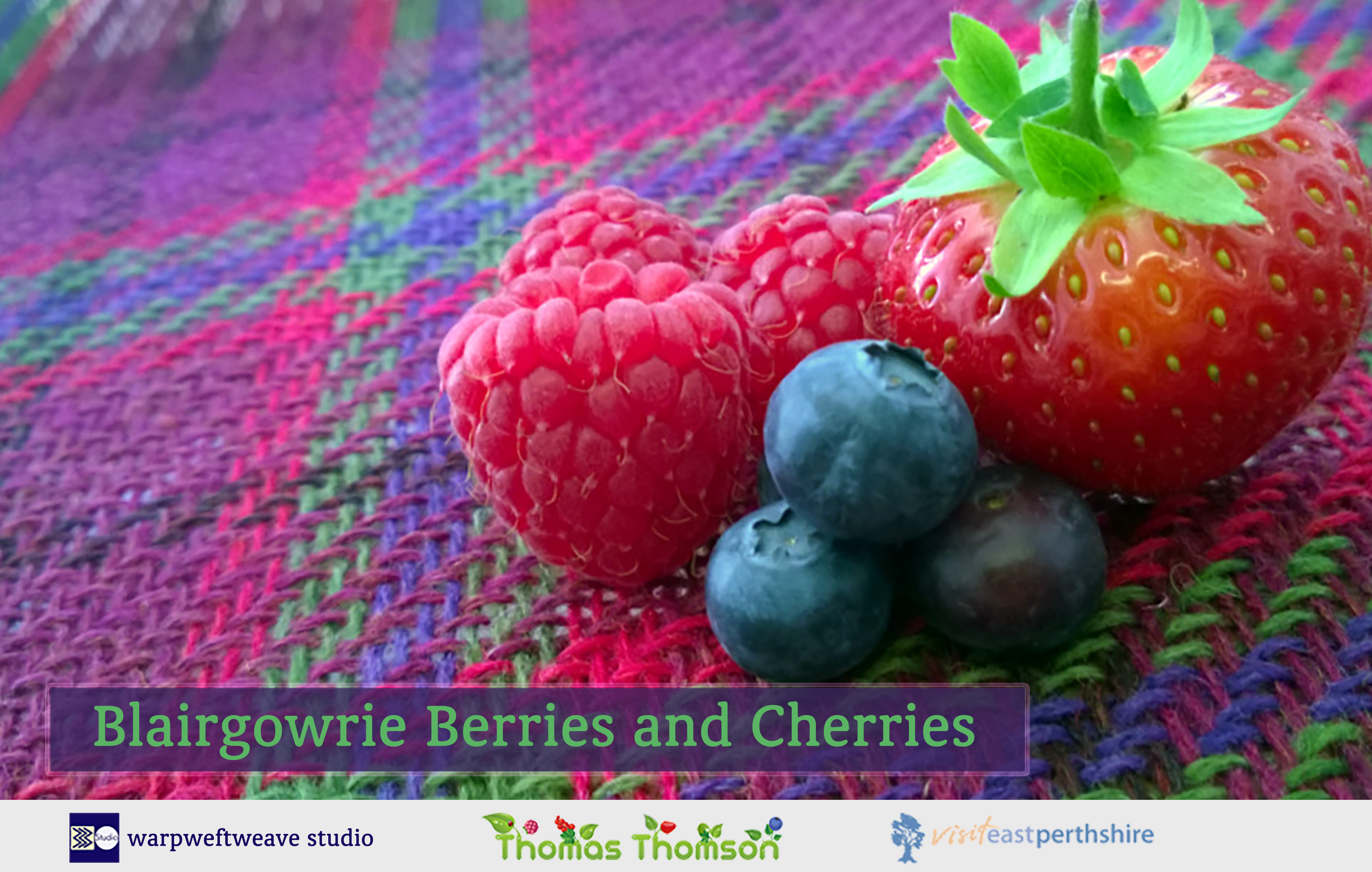 Ashleigh Slater Masterweaver and Tartan Designer