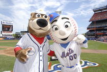 Popbearmrmet cv
