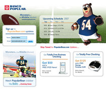 Popular bear football cv
