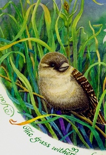 Sparrow crop small web cv