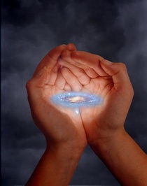 Hands hallas cv