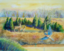 Deer bluebird 300dpi 4x3.3 cv