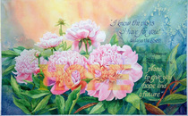 Hope peonies 300dpi 4x2.48 cv