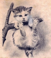 Kitten drawing 13 web cv