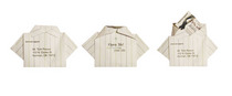Americanashirt cv