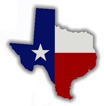 Texas with texas flag cv