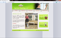 Cleaning cv