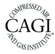 Cagi hi res cv