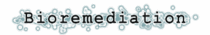 Bioremediation word cv