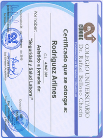 Certificado seguridad y salud cv