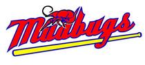 Mudbugsjersey logo cv