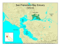 Bay area cv