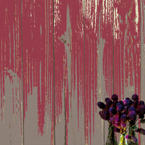 Catalog background1 cv