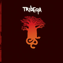 Tribeqa cv