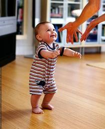 First steps cv