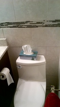 Bathroom reno 95 complete stage 3 cv