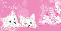Booklet 3 cv