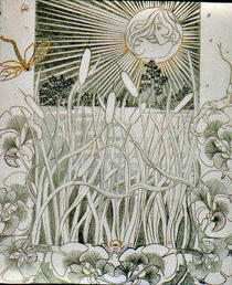 Illis moon godess 352 x 432 cv