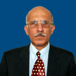 Muhammad Ali Malik