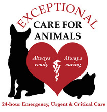Exceptional Care For Animals
