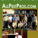 All Pest Pros