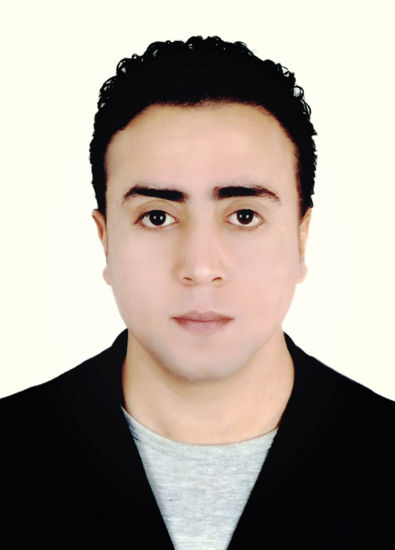 Ali Adel Abdelbaki Elmanfy