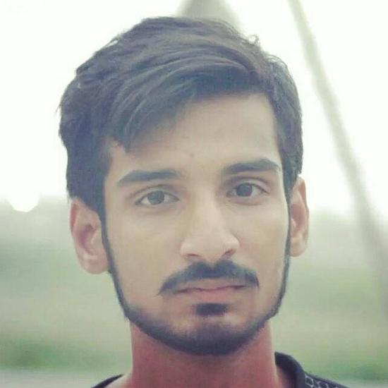 Syed Ameer Hamza