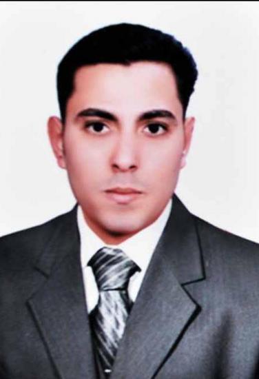sabry sobhy mansour abd-elnaby