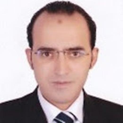 Tarek Abd.Elhakim Abd.Elrazek Amer