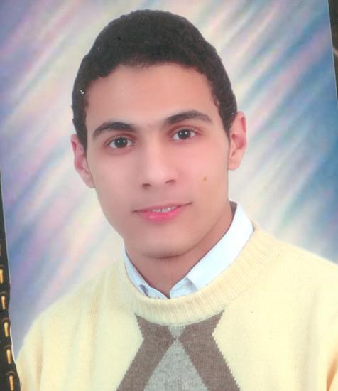 Hossam Eldin Youssef Ali