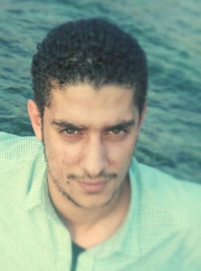 محمود محمد فوزي موافي