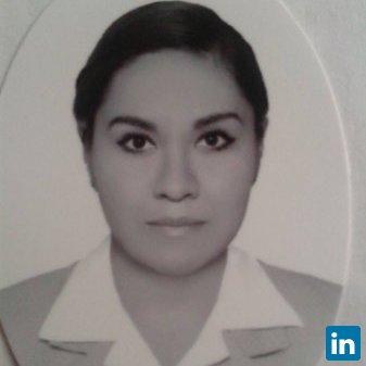 ing. i.a Alejandra Vanessa Castillo cazares